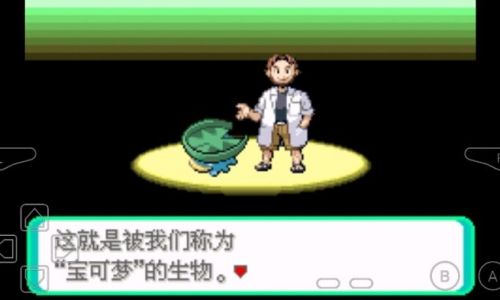 Navigating the Chinese MC Pokémon Server:A Comprehensive Guide for Beginners