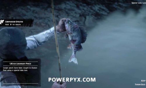 Uncovering the Legendary River Bass in Red Dead Redemption 2:A Guide to Its Elusive Habitat
